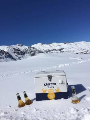 Cold ones in the snow